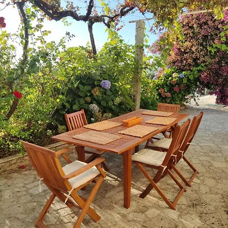 Quinta Dos Carvalhos بيت ضيافة 3*
