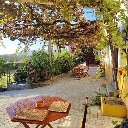 Quinta Dos Carvalhos Casa de hóspedes