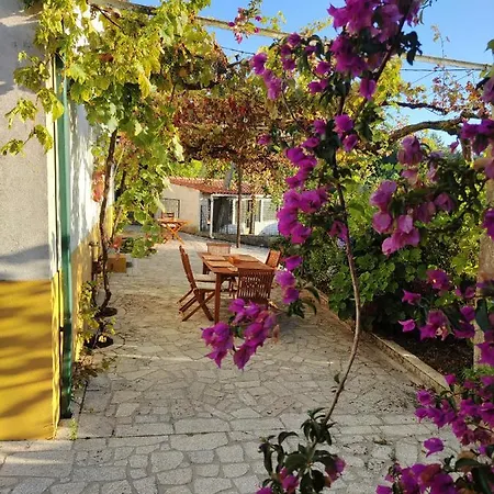 Quinta Dos Carvalhos