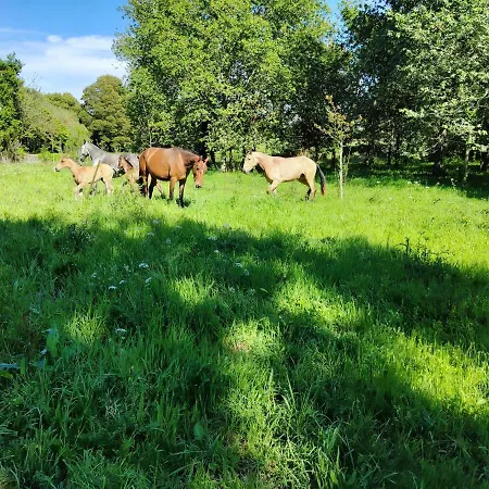 Quinta Dos Carvalhos Casa de hóspedes 3*