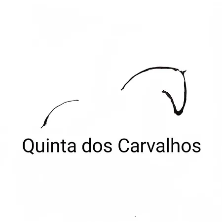 Quinta Dos Carvalhos Casa de hóspedes Vila Praia de Âncora