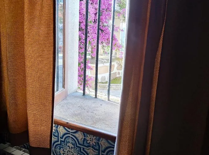 Quinta Dos Carvalhos Casa de hóspedes Vila Praia de Âncora