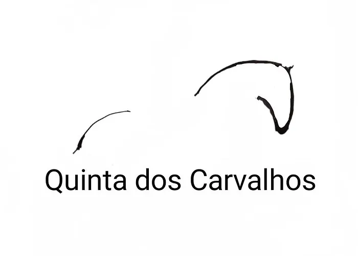 Quinta Dos Carvalhos Casa de hóspedes Vila Praia de Âncora